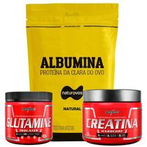 Albumina Creatina Glutamina Kit Proteina Suplemento em pó