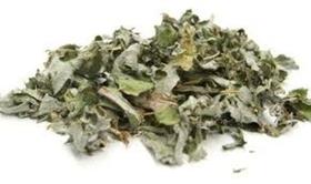 Alcachofra Cynara scolymus - L. 100g Londriervas Alcachofra Cynara scolymus - L. 100g Londriervas