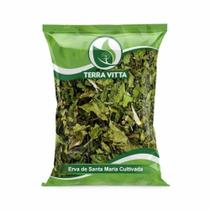 Alcachofra terra vita 30 grs