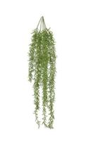Alecrim Pendente 83 Cm - 42600001 - Florarte Alecrim Pendente 83 Cm - 42600001 - Florarte