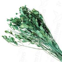 Alecrin Desidratado Buque Flores Secas