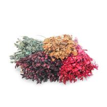 Alecrin Desidratado Buque Flores Secas