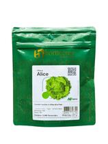 Alface Americana Alice 5000 Sementes