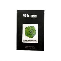 Alface Biof 05 Mini Lisa Verde - 1.000 Sementes/ Excelente Variedade Alface Biof 05 Mini Lisa Verde - 1.000 Sementes/ Excelente Variedade