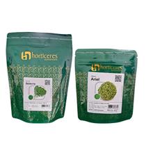 Alface Crespa 5000 Sementes Horticeres + Rúcula Folha Larga 500g Alface Crespa 5000 Sementes Horticeres + Rúcula Folha Larga 500g