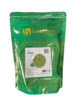 Alface Crespa Ariel Peletizada Horticeres - 25000 Sementes Alta Qualidade Alface Crespa Ariel Peletizada Horticeres - 25000 Sementes Alta Qualidade