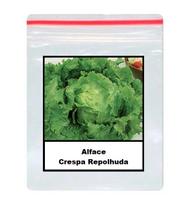 Alface crespa repolhuda 1.000 Sementes Alface crespa repolhuda 1.000 Sementes