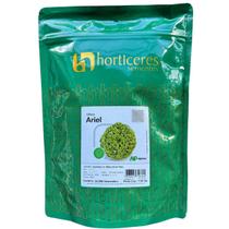 Alface crespa verde ariel 25000 sementes - HORTICERES