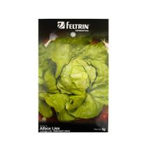 Alface Lisa/ Alface Repolhuda Todo Ano - 5gr de Sementes