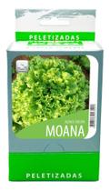 Alface Moana Crespa - CX C/ 20 Env de 100 Sementes Pelets - PRATIPELETS