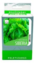 Alface Siberia Americana - CX C/ 20 Env de 100 Sementes Pelets - PRATIPELETS