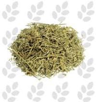 Alfafa 100g Medicago sativa - L. Londriervas