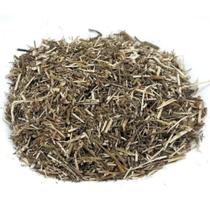 Alfafa 100Gr (Erva seca para chá) - Produto vendido a granel