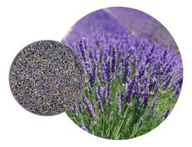 Alfazema Azul Lavanda- 500 gr