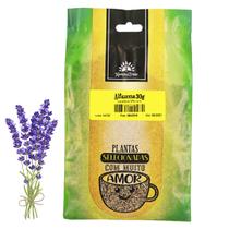 Alfazema Flor in Natura 30g Kampo de Ervas - Lavanda