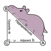 Alfinetes de broche Funny Math Hippopotamus para blusa ou jaqueta Alfinetes de broche Funny Math Hippopotamus para blusa ou jaqueta