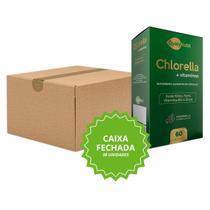 Algas Verdes QualyNutri 60 Caps Atacado Caixa Master 38 Unidades Suplemento à Base de Superalimento Vegetal com Ferro Zinco e Vitamina B12 Lote B2B