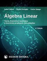 Álgebra Linear - Teoria, exercícios resolvidos e exercícios propostos com soluções