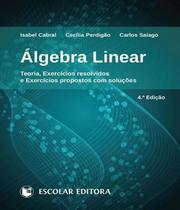 Álgebra Linear - Teoria, Exercícios Resolvidos e Exercícios Propostos Com Soluções - Escolar