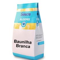 Algemix Saborizante de Sorvete Baunilha Branca 1 Kg