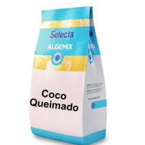 Algemix Saborizante de Sorvete Coco Queimado 800g - Selecta