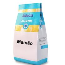 Algemix Saborizante de Sorvete Mamão 1 Kg