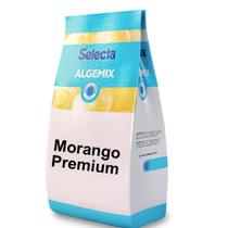 Algemix Saborizante de Sorvete Morango Premium 1 Kg