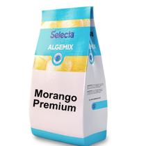 Algemix Saborizante de Sorvete Morango Premium 1 Kg Algemix Saborizante de Sorvete Morango Premium 1 Kg
