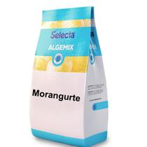 Algemix Saborizante de Sorvete Morangurte 1 Kg Algemix Saborizante de Sorvete Morangurte 1 Kg