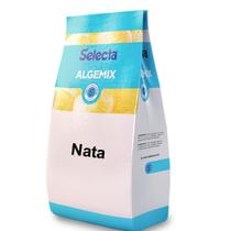 Algemix Saborizante de Sorvete Nata 1 Kg Algemix Saborizante de Sorvete Nata 1 Kg