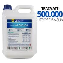 Algicida 2x1 Choque E Manutenção Para Eliminar e Previnir Água Verde Da Piscina 5 Litros