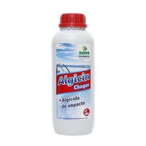Algicida Choque 1 Litro para Piscina - Elimina Todos os Tipos de Algas Algicida Choque 1 Litro para Piscina - Elimina Todos os Tipos de Algas