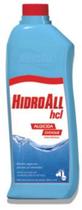 Algicida Choque 1 Ltr - Hidroall