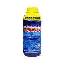 Algicida Choque 1lt Quibenne