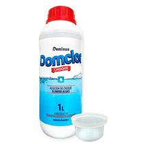Algicida Choque Domclor - 1 litro