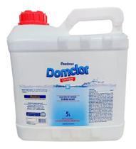 Algicida Choque Domclor - 5 Litros Algicida Choque Domclor - 5 Litros