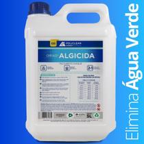 Algicida Choque E Manutenção Elimina Água Verde Piscina 5 Litros Policlean