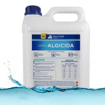 Algicida Choque Piscina Elimina Algas Solução Para Água Verde 5 Litros - Oirad Algicida 5 L