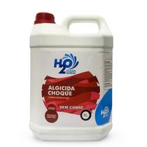 Algicida Choque Sem Cobre 5 Litros H2O Clean Química