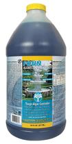 Algicida Clarificador EASYCARE Fountec 1890 ml Algicida Clarificador EASYCARE Fountec 1890 ml