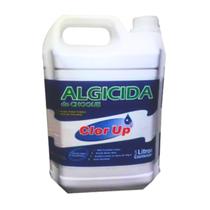 Algicida clor up 5 litros tratamento de piscina