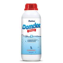 Algicida de choque 1L - Elimina algas Algicida de choque 1L - Elimina algas