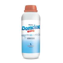 Algicida de Choque Domclor 1 Litro Algicida de Choque Domclor 1 Litro