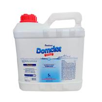 Algicida de Choque DomClor 5L Limpeza Para Piscina Algicida de Choque DomClor 5L Limpeza Para Piscina