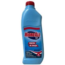Algicida De Choque Hcl 01 Litro Hidroall Elimina Algas