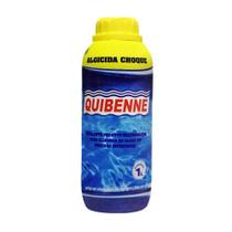Algicida De Choque P/ Piscinas 1 Lt Quibenne