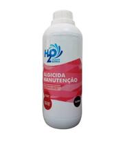 Algicida De Mantenção Para Piscina 1 Unidade 1L H2O Clean Química