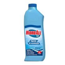 Algicida De Manutenção De Piscina Hcl Hidroall 1 Litro