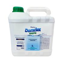Algicida de manutenção DomClor 5L Limpeza Para Piscina