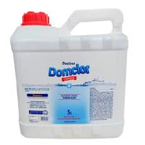 Algicida Domclor 5l Para Piscinas (elimina Algas) Choque Algicida Domclor 5l Para Piscinas (elimina Algas) Choque